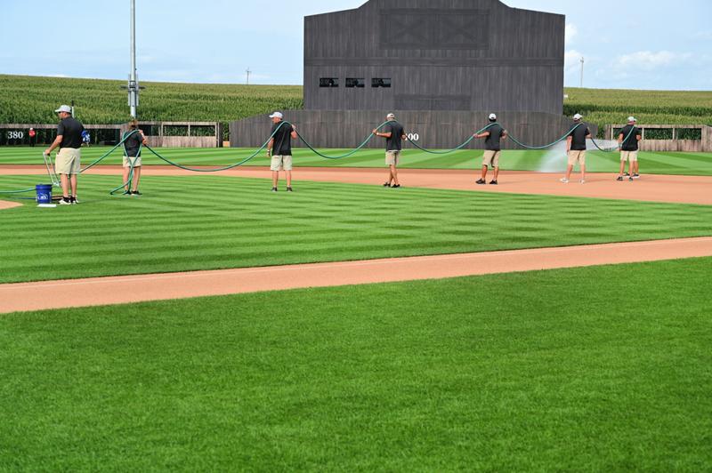 MLB at Field of Dreams Game baseball stadium cornfield BrightView